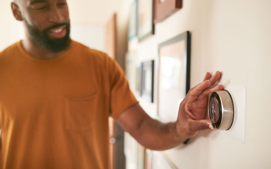 Program Management for Leader in Home & Security Solutions